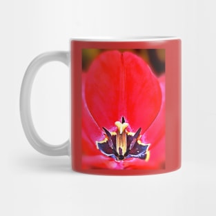 Tulip Mug